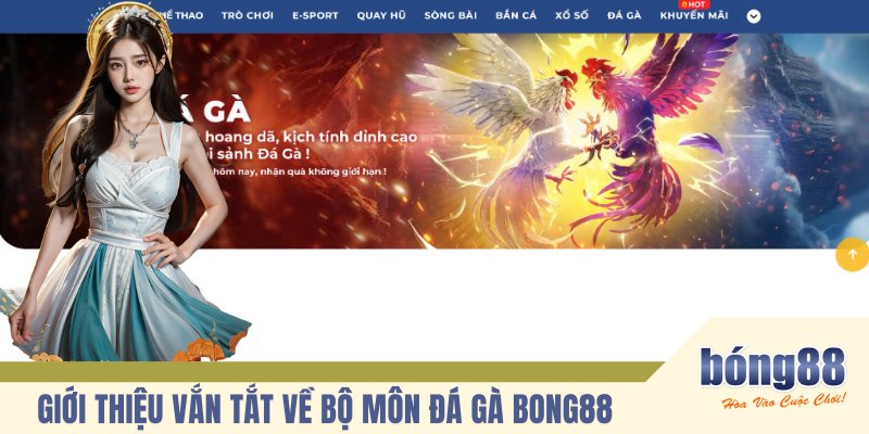 Giới thiệu vắn tắt về bộ môn đá gà BONG88